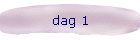 dag 1