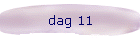 dag 11