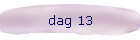 dag 13