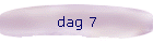 dag 7