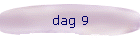 dag 9