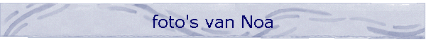 foto's van Noa